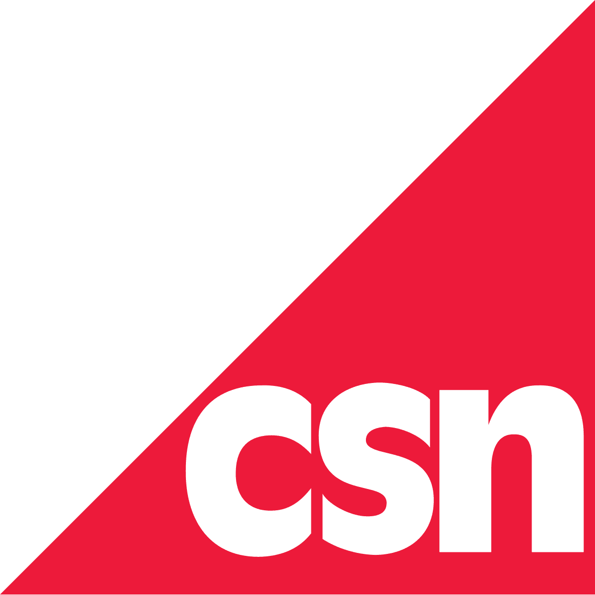 CSN Logo - Tico Lingo Spanish School