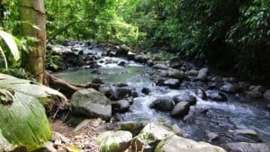 Rainforest Volunteer Project in Costa Rica