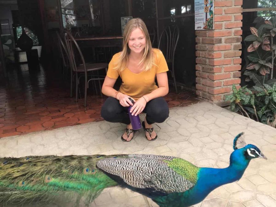 Helen_Animal Rescue Volunteer_Costa Rica