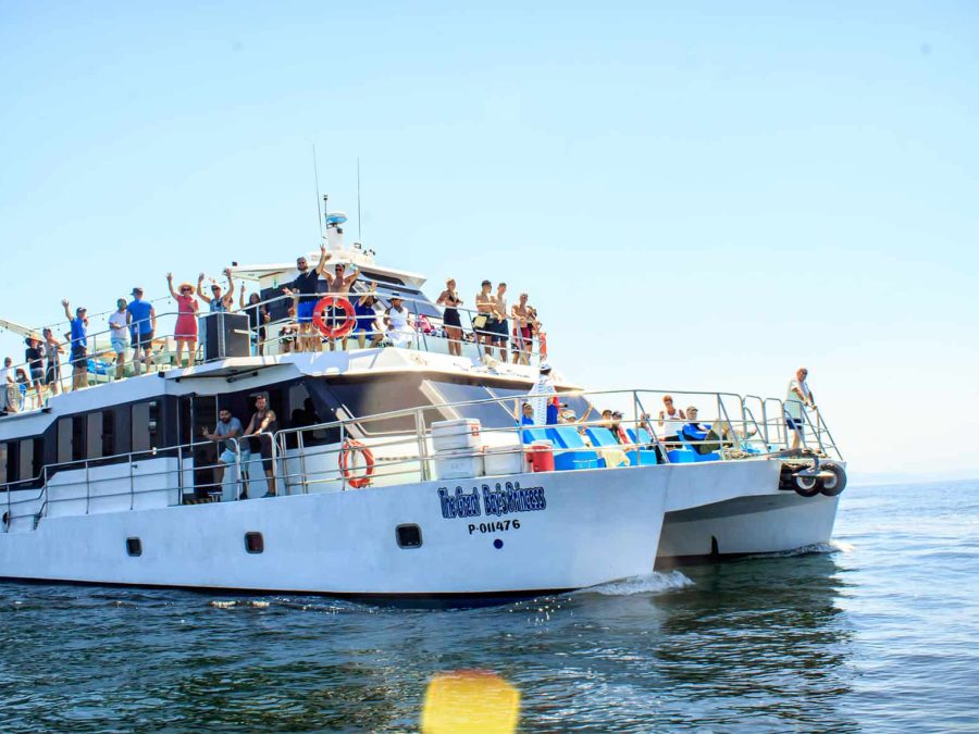Isla-Tortuga
