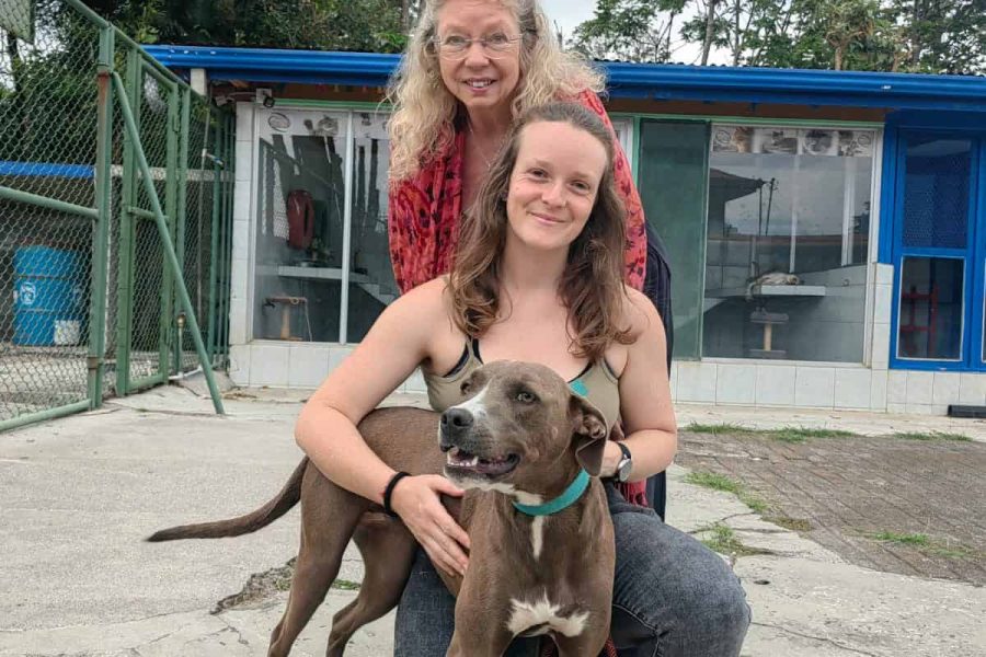 Volunteer with Dogs in Costa Rica