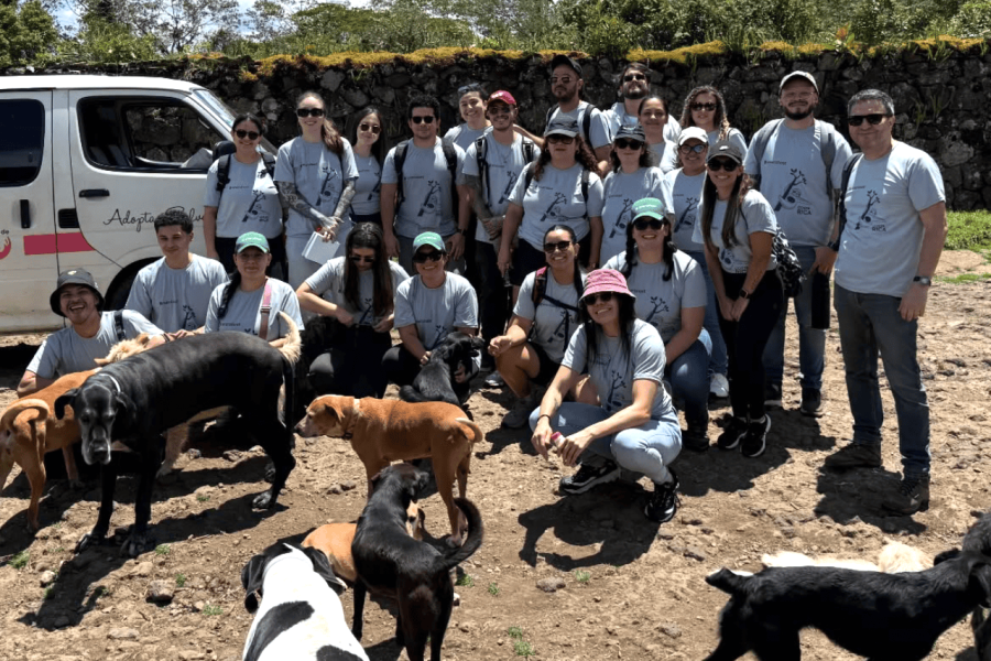 Volunteering with Dogs in Heredia, Costa Rica